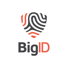 BigID Logo