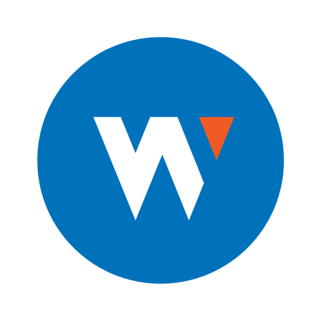 Wiser Solutions Logo